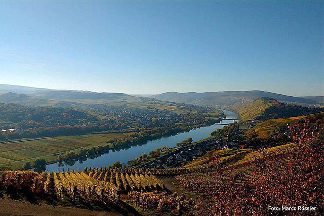 Mooiste uitzicht wijngebied Mosel:Heldensicht