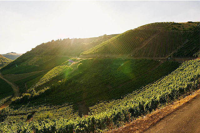 Mooiste uitzicht wijngebied: Niederhausen met haar steile wijngaarden