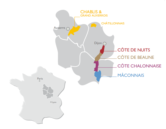 Bourgogne Fantastische Chablis