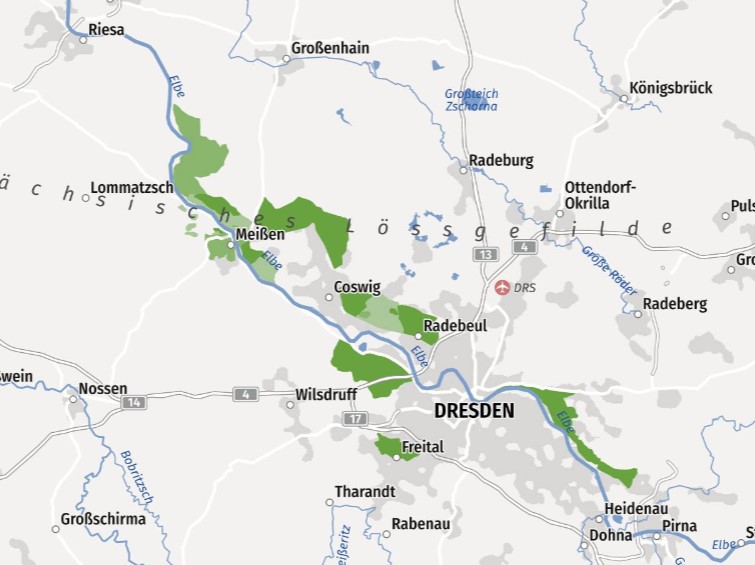 kwaliteit wijn uit wijnbouwgebieden Saksen in Duitsland