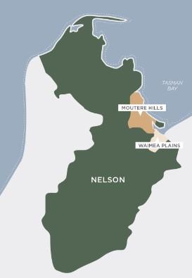 Nelson wine region